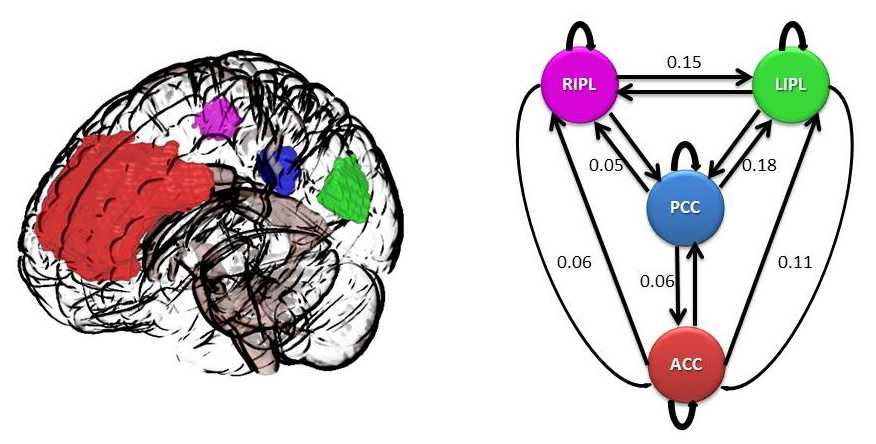 Computational brain image