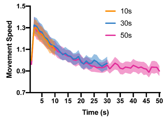 motor fatigability curve