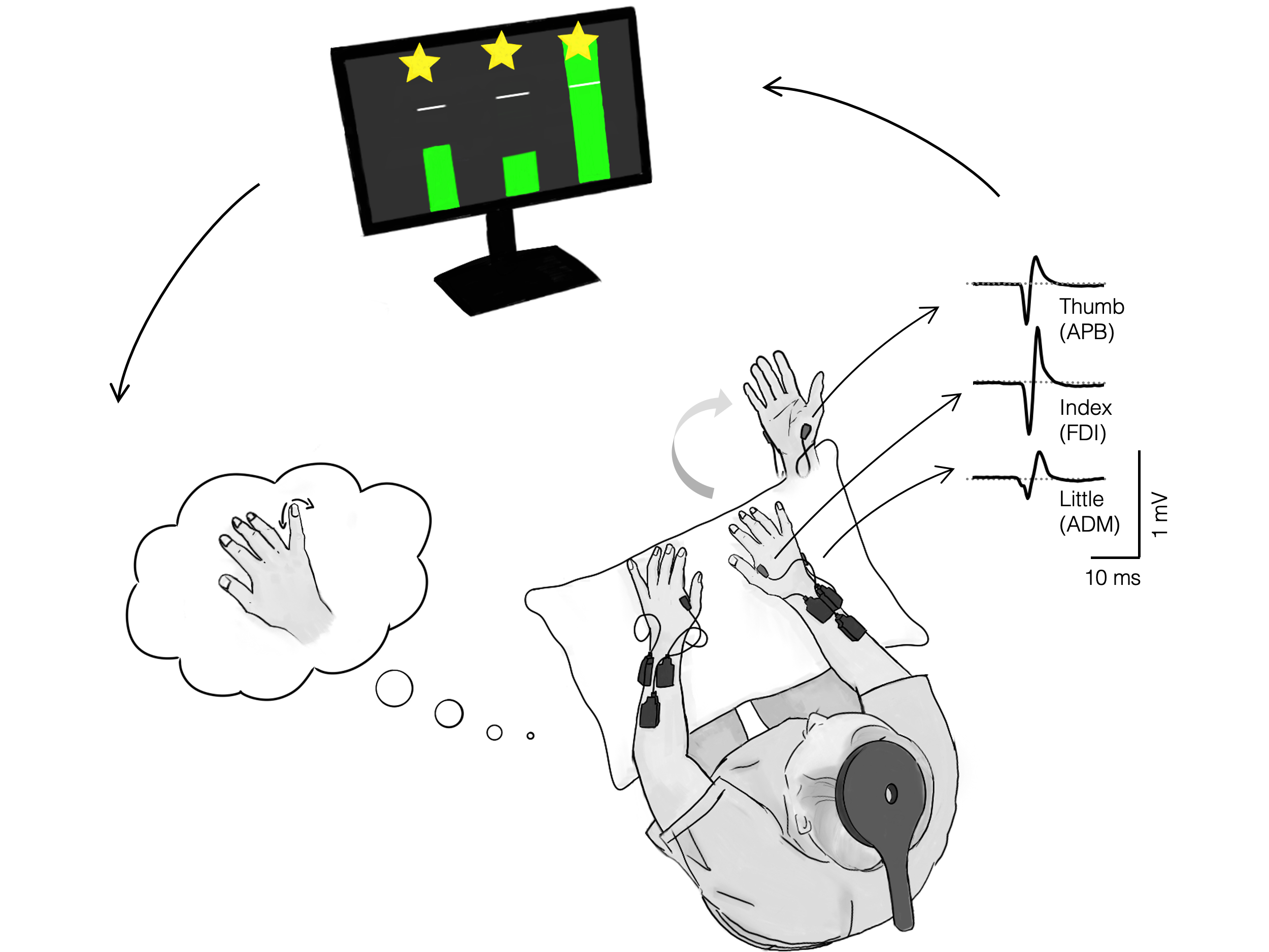 tms neurofeedback setup